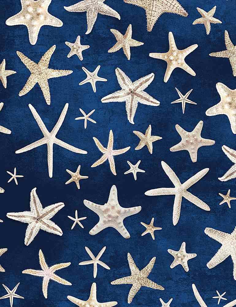 Beach Dreams Starfish