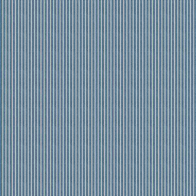 Tinystripe Blue