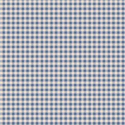 Gingham Blue