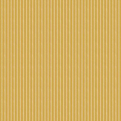 Stripe Yellow