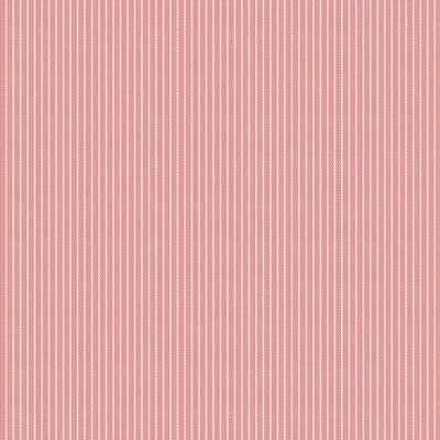 Tinystripe Pink