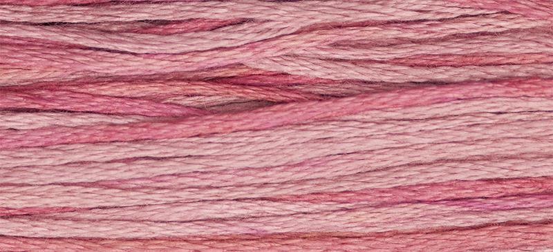 Weeks Dye 2276 Works Camellia