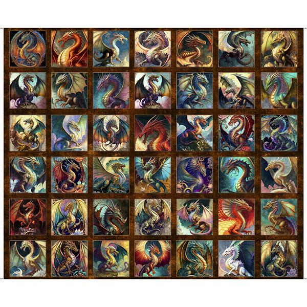 Dragon Fyre Picture Patches