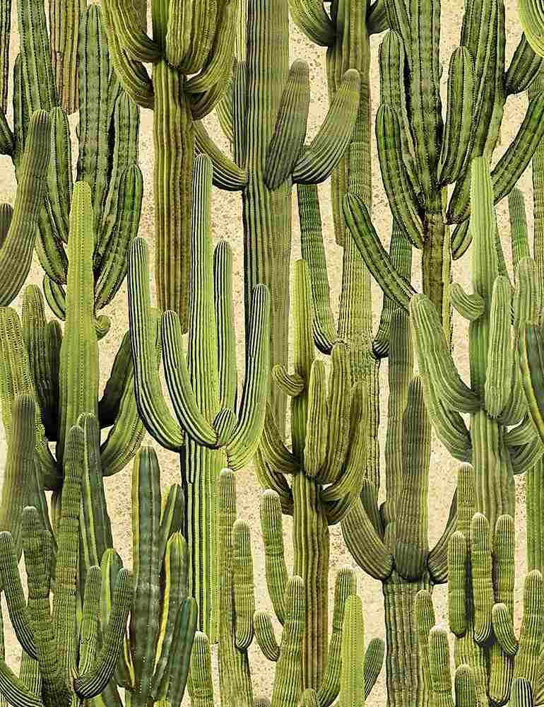 Saguaro Cactus*
