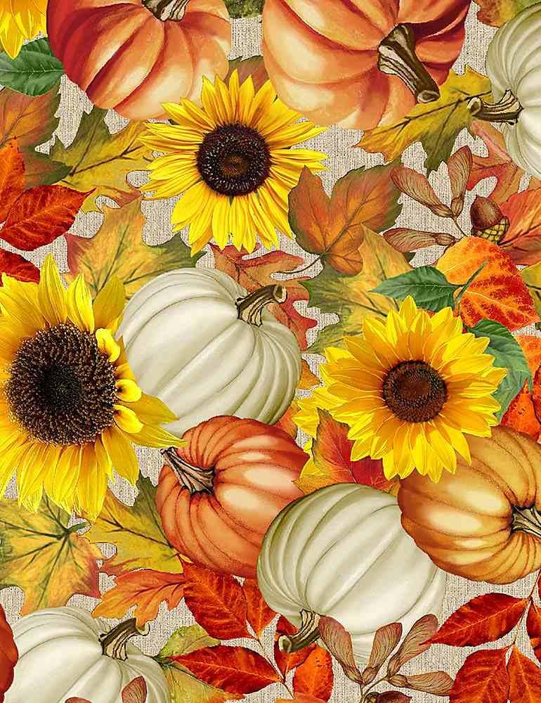 Harvest Pumpkins Sunflowers