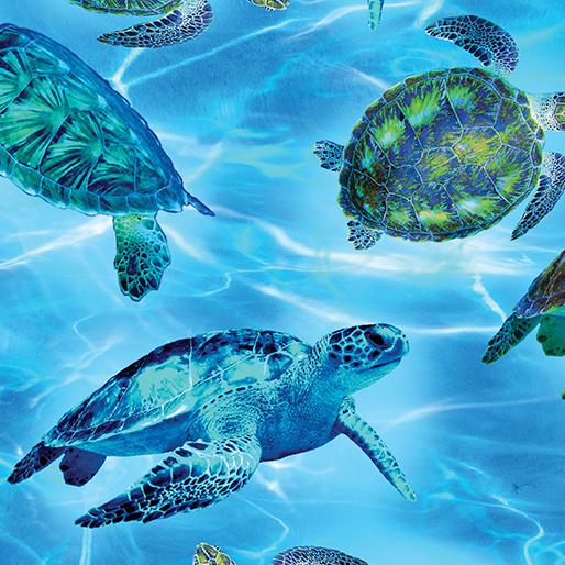 Oceana Sea Turtle Haven
