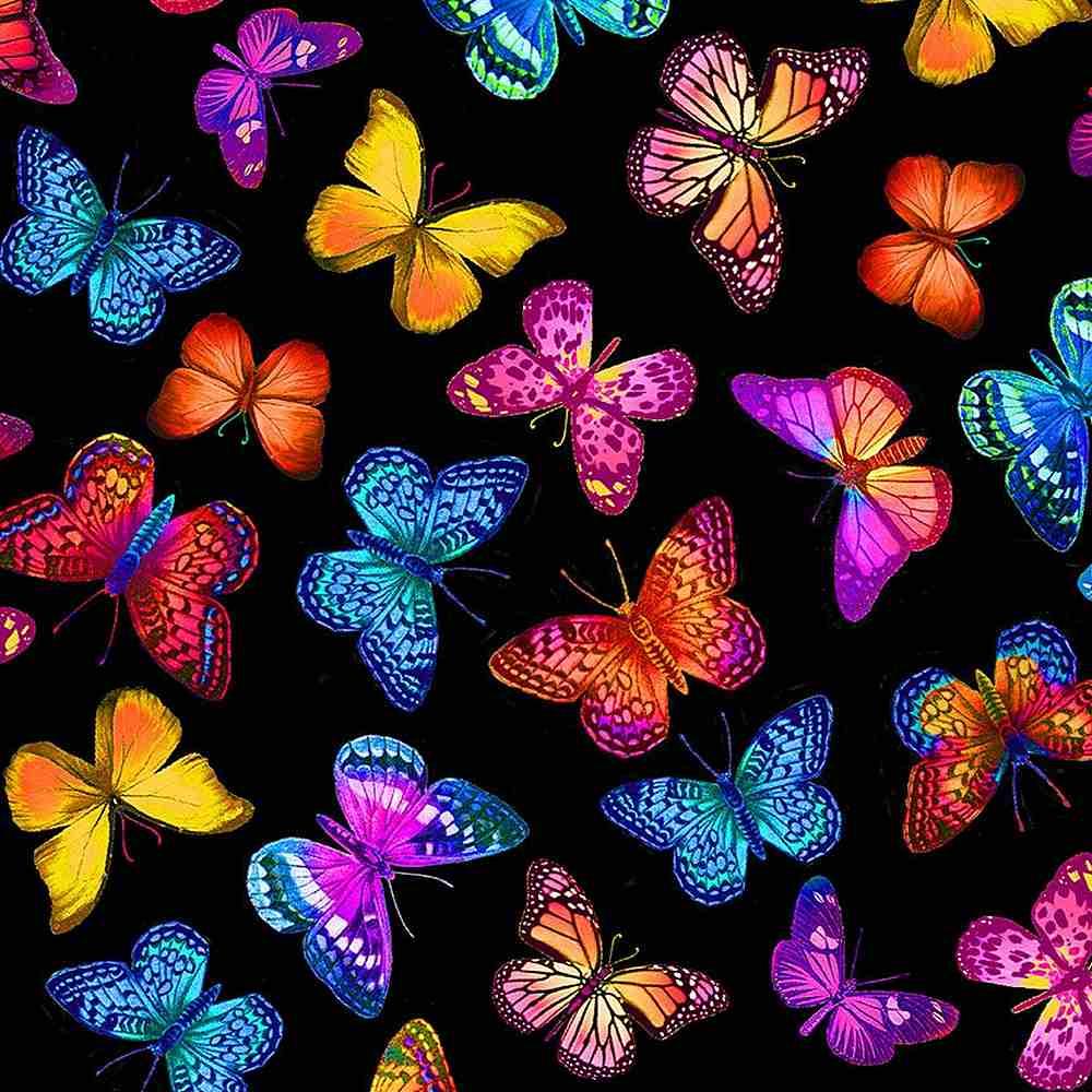 Bright Butterflies Flying