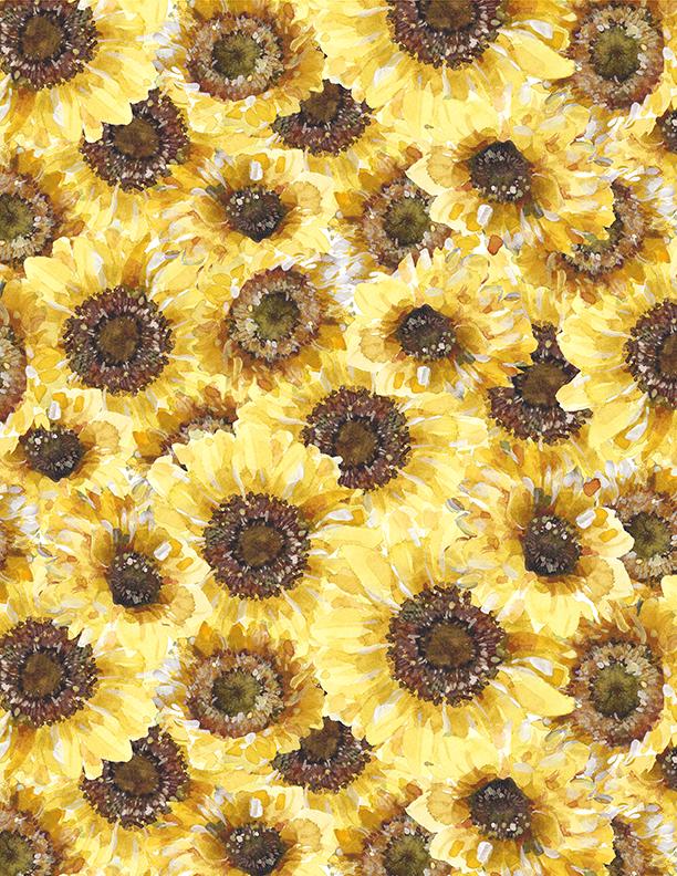 Sunflower Sweet Packed Multi