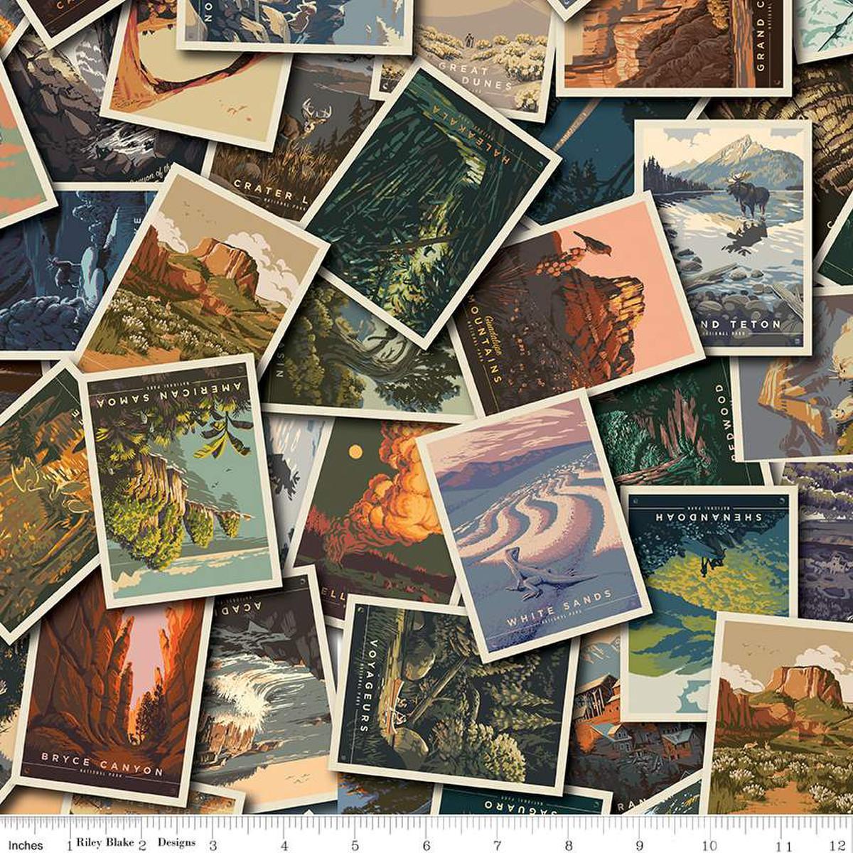 National Parks Postcard Toss