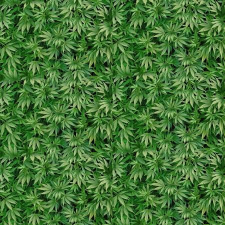 Green Mini Cannabis