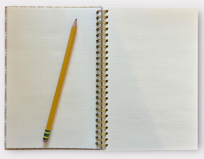 Classic Quilts Spiral Notebook Young Man's Fancy
