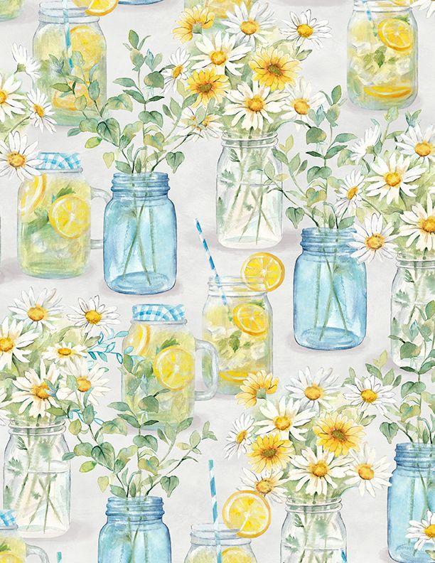 Zest For Life Mason Jars Gray