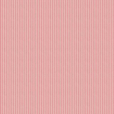 Tinystripe Pink