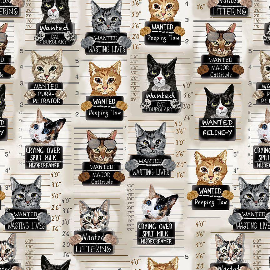 Cat Mugshots