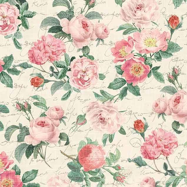 Heirloom Roses