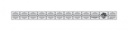 CGR Ruler 1" x 12"