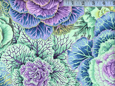 Phillip Jacobs Brassica*