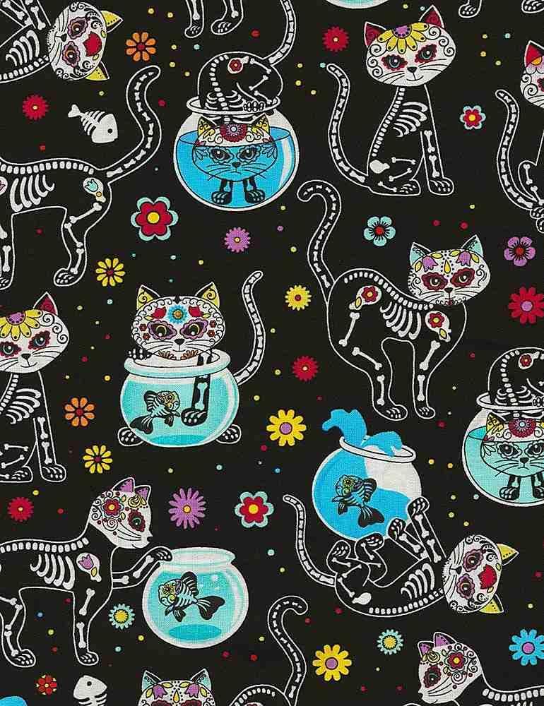 Cat Skeletons & Fishbowls