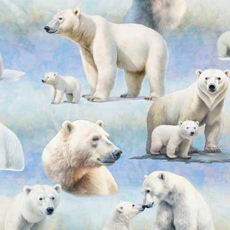 Aurora Polar Bear Blue