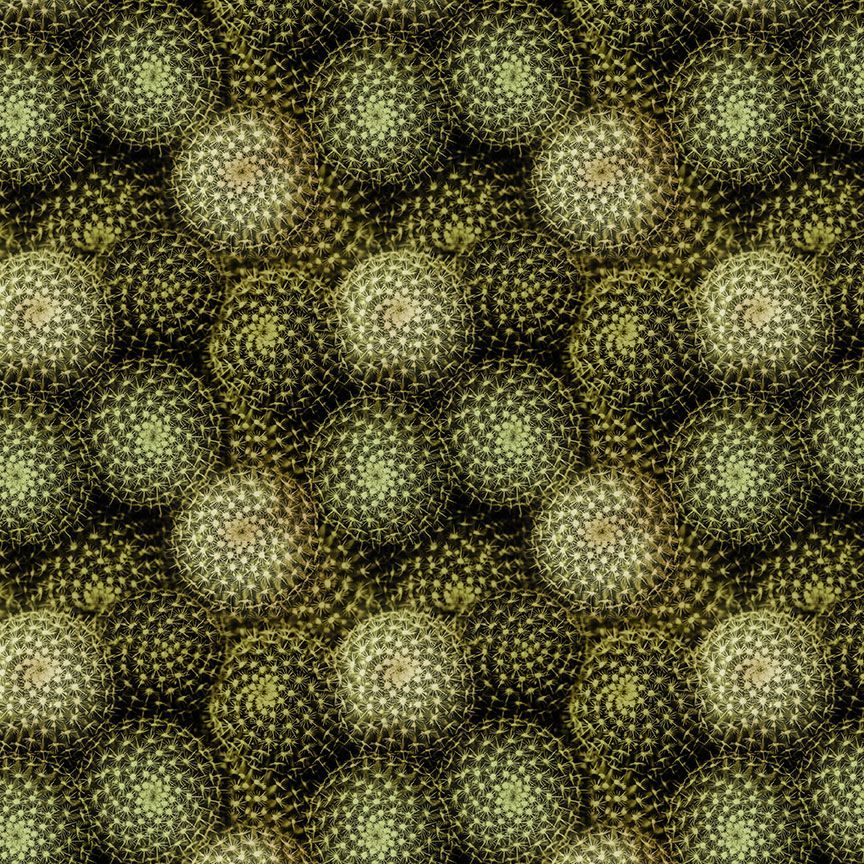 Golden Barrel Cactus