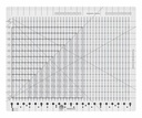 CGR Ruler Stripology XL