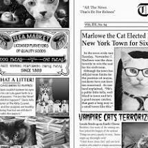 Cat Newsprint