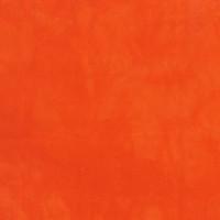 Palette* Tangerine