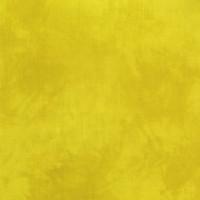 Palette* Chartreuse