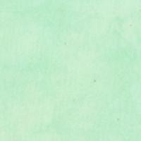 Palette* Minty Green