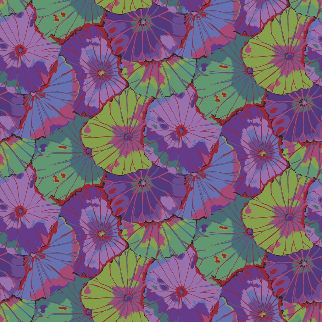 108" Kaffe Quilt Backs*