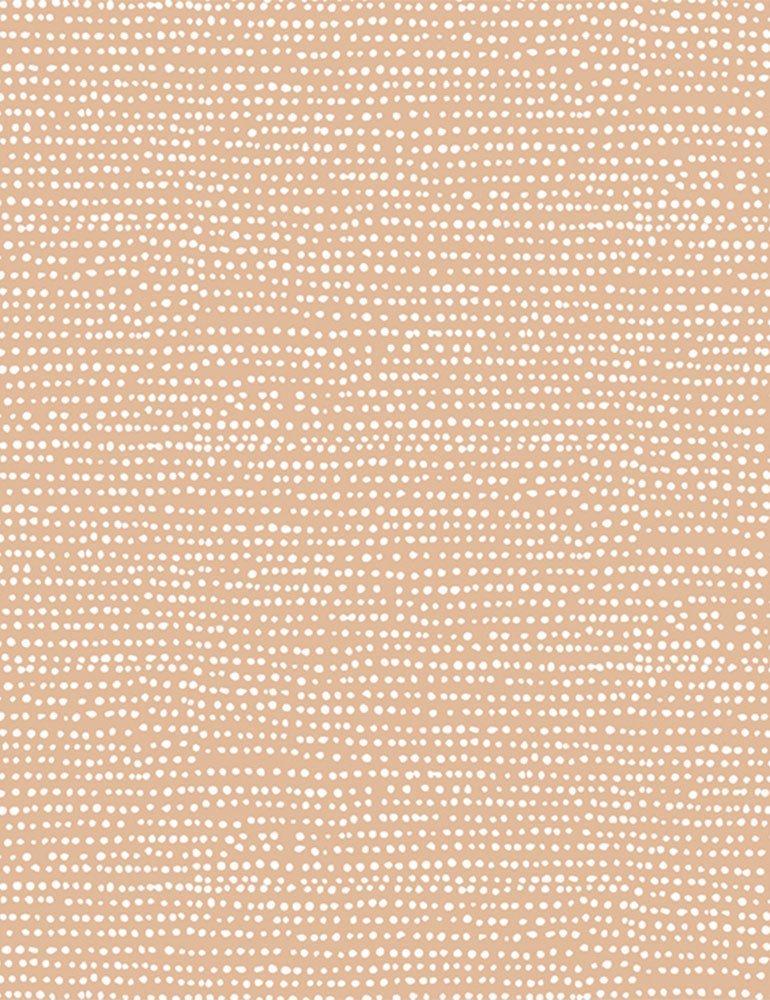 Little Fawn & Friends