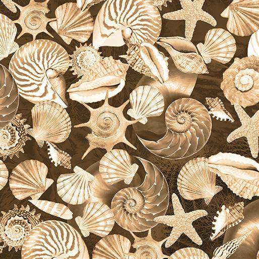 Oceana Shells Sand