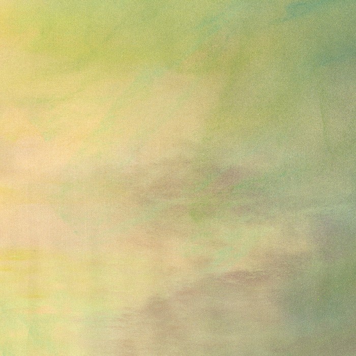 Sky Aloe