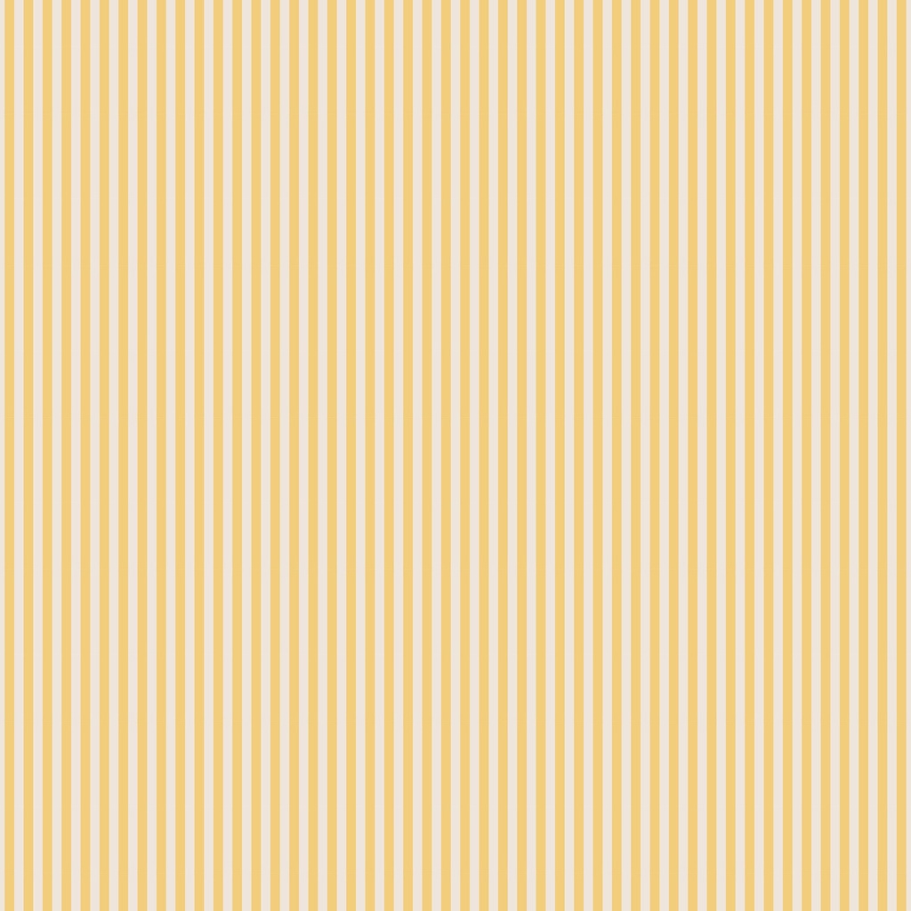 1/8" Stripe on Ivory Honey