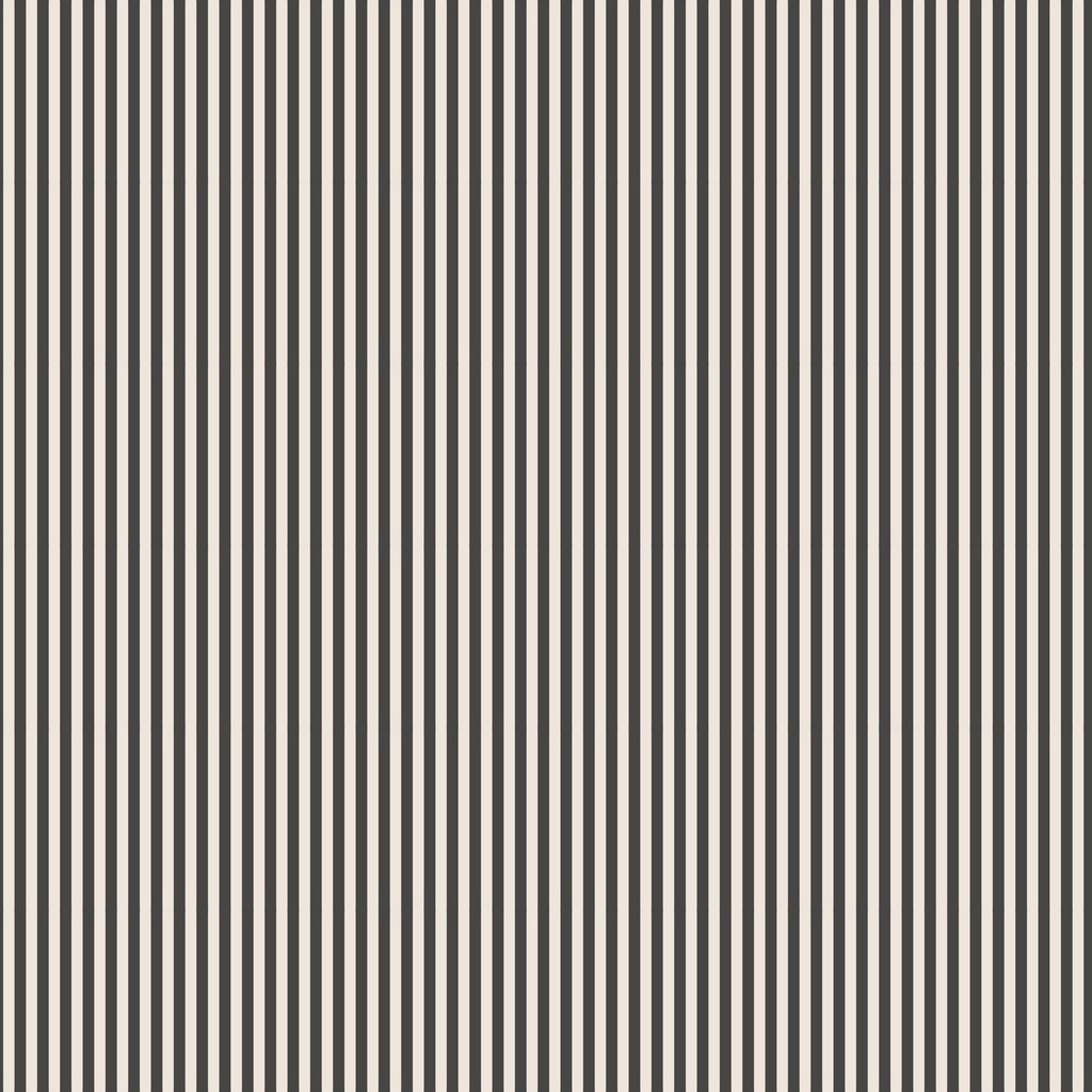 1/8" Stripe on Ivory Charcoal
