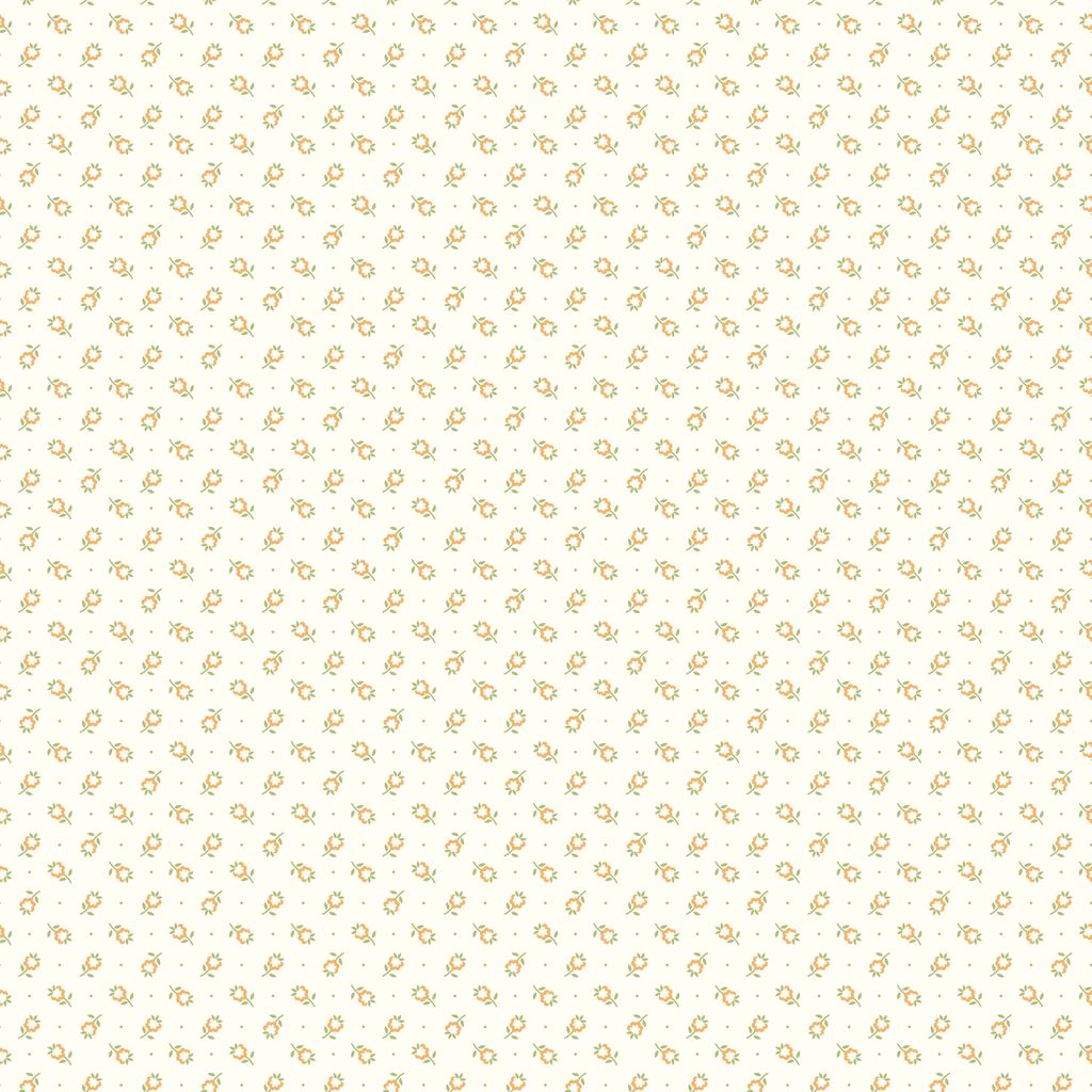 Home Town Butterfield Lettuce