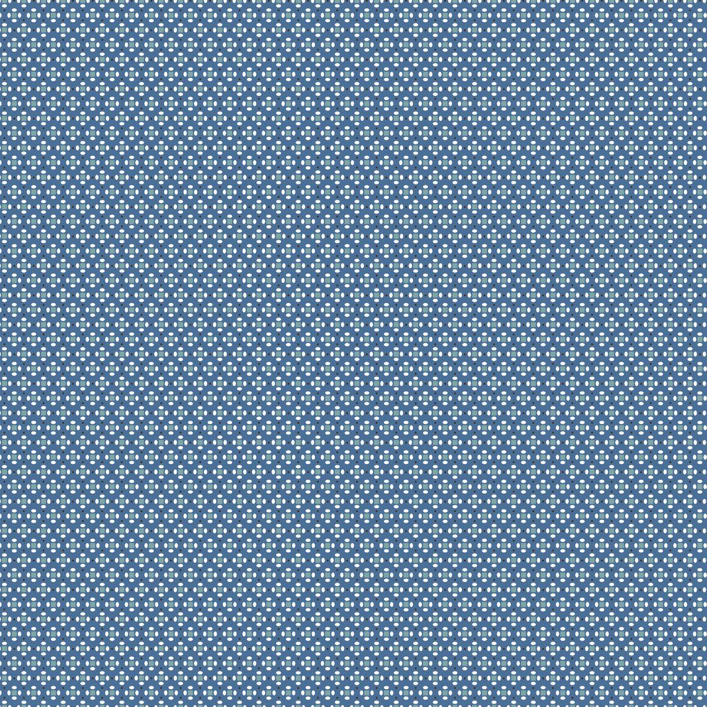 Home Town Dansie Denim