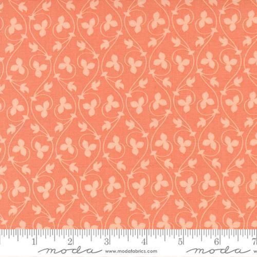 Cinnamon Cream Coral