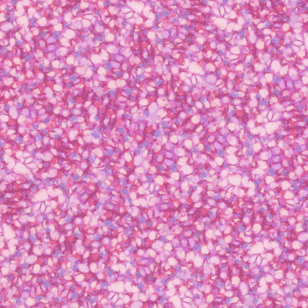 Bella Blossoms Orchid