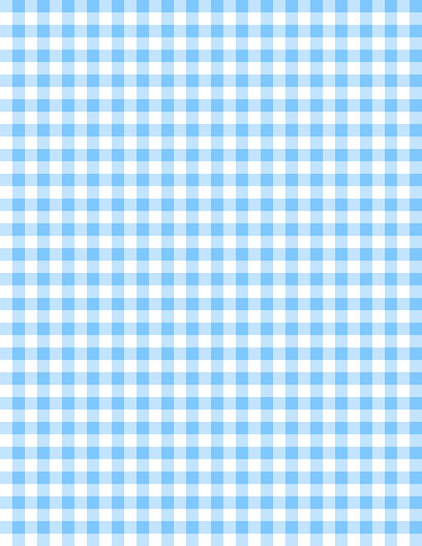 Essentials Gingham White/Baby Blue*
