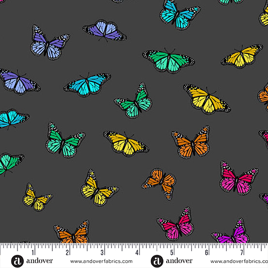 Color Wheel Night Butterfly Rainbow