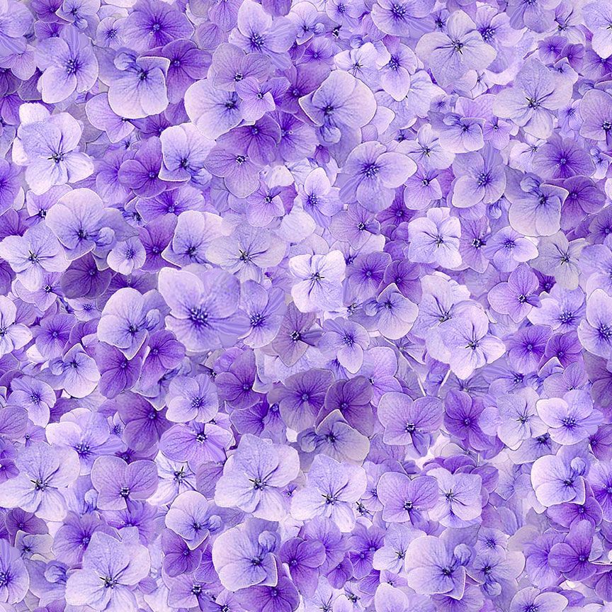 Garden Delight Viola Florals