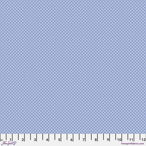 Tula True Colors On The Grid Shoreline*