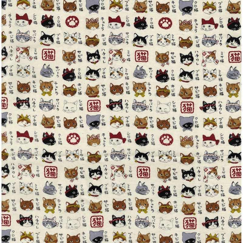 Animal Dictionary Cats