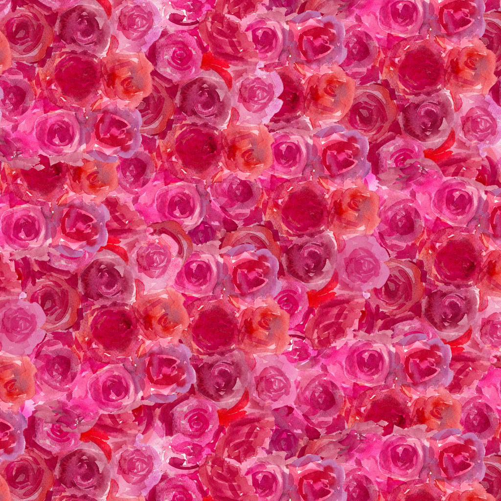 Faboolous Roses Fuchsia