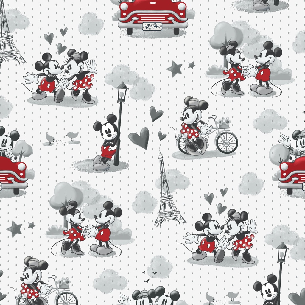 Mickey & Minnie Vintage Paris