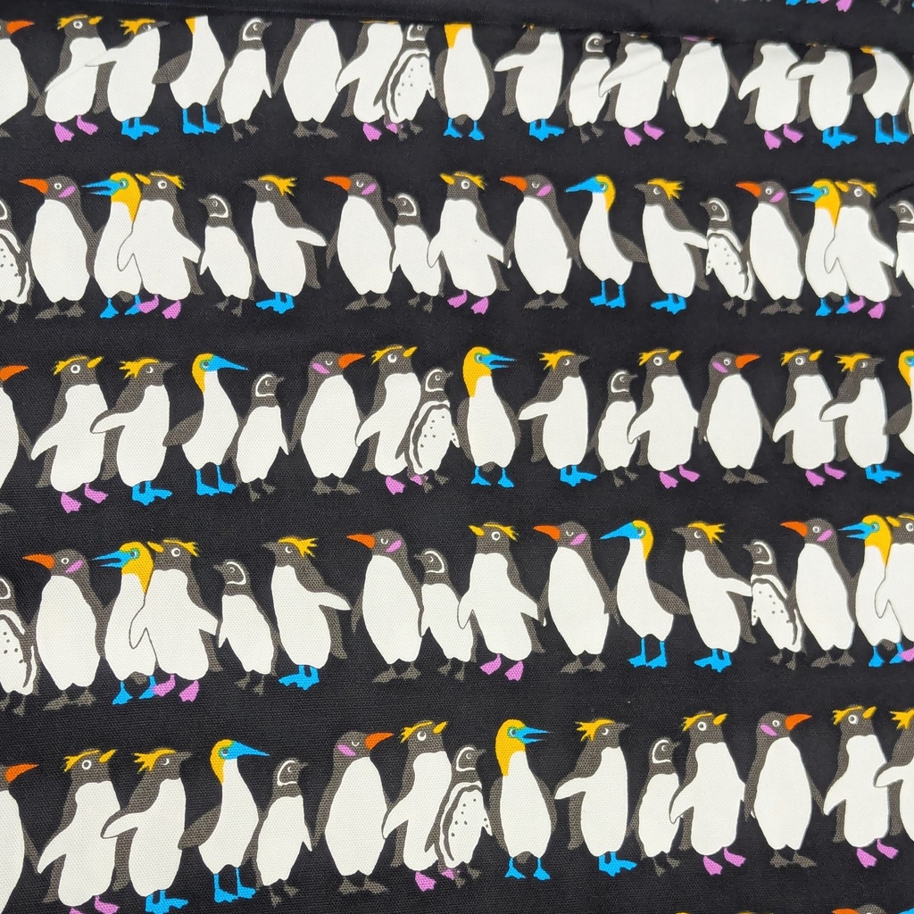 Sevenberry Penguins In Rows
