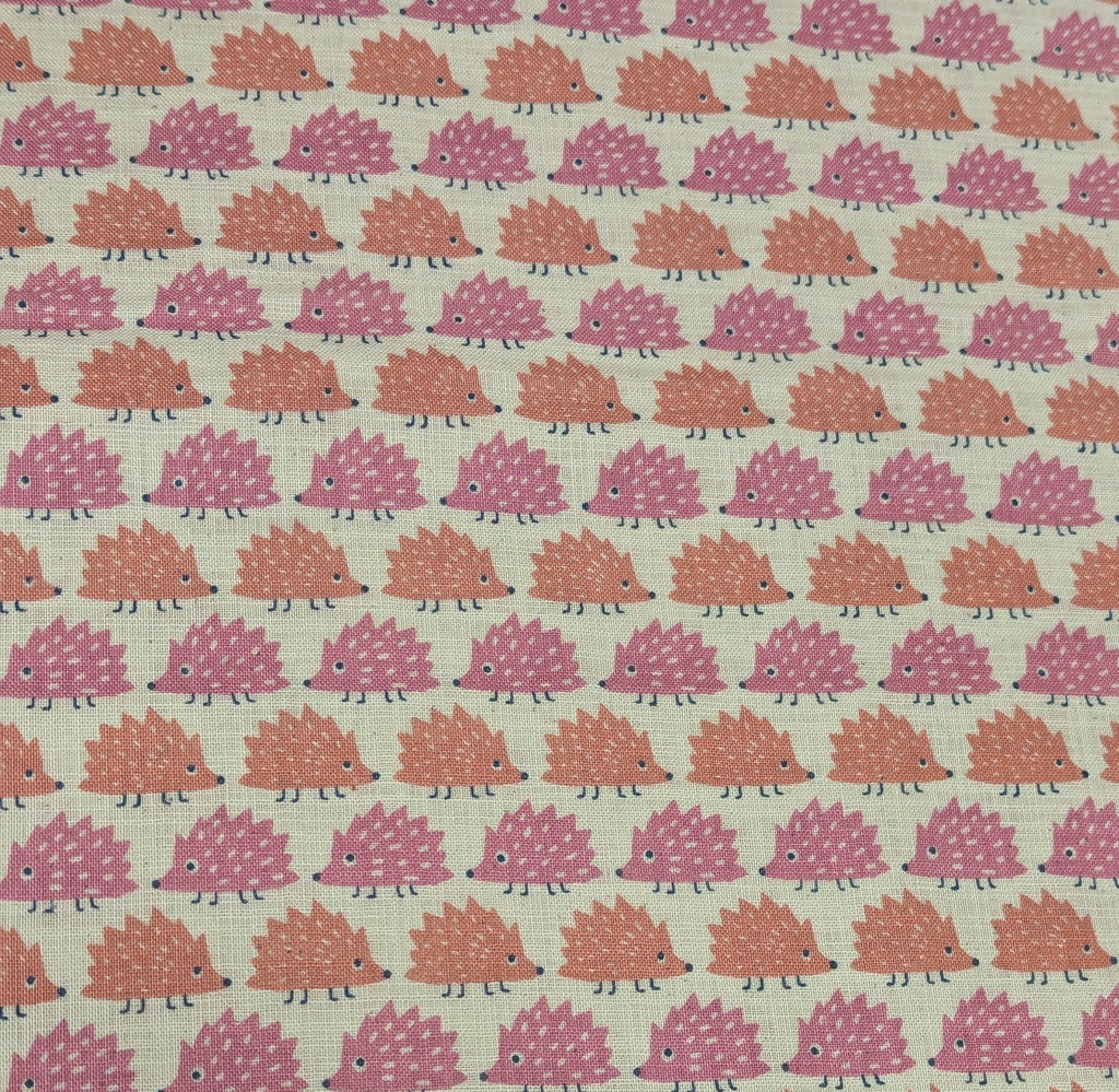 Sevenberry Hedgehogs In Rows Canvas