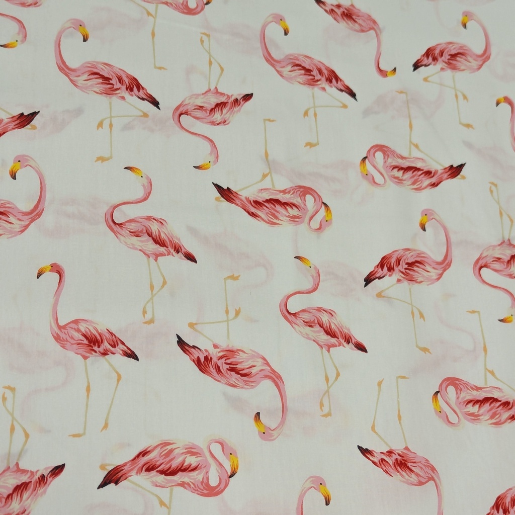 Sevenberry Flamingos