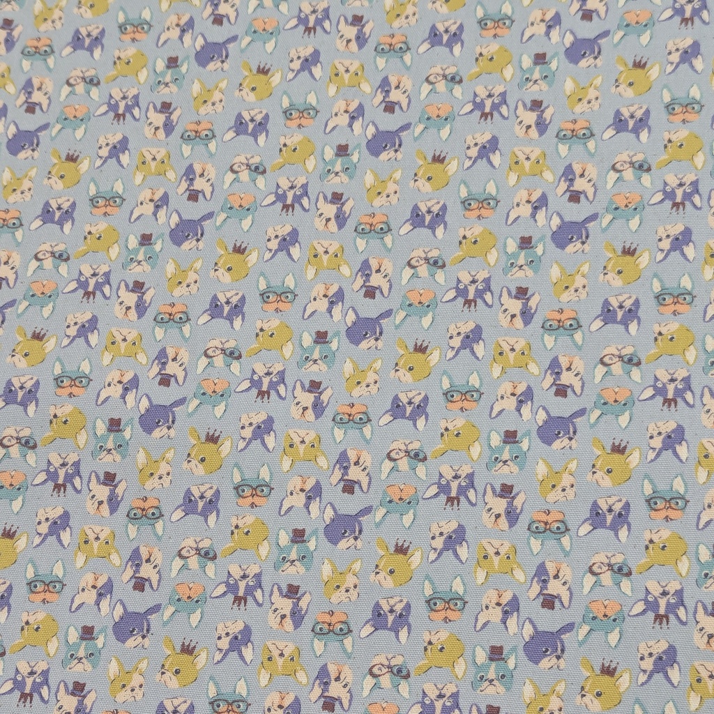 Kokka French Bulldogs